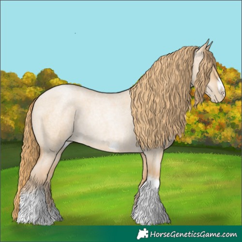 Horse Color:Red Dun Roan Pearl Tobiano Frame 