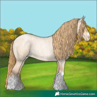 Horse Color:Red Dun Roan Pearl Tobiano Frame
