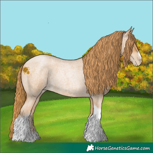 Horse Color:Red Roan Pearl Tobiano Frame 