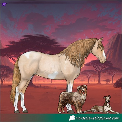 Horse Color:Red Roan Pearl Tobiano Frame