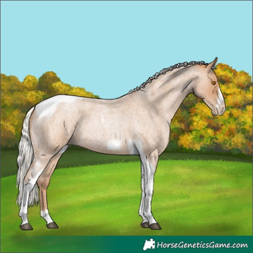 Horse Color:Silver Blue Roan Pearl Tobiano Frame 