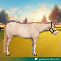Horse Color:Red Roan Pearl Tobiano Frame 