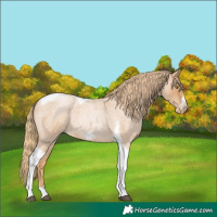 Horse Color:Red Roan Pearl Tobiano Frame