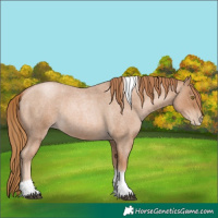 Horse Color:Red Roan Pearl Tobiano Frame