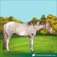 Horse Color:Liver Red Roan Pearl Tobiano Frame