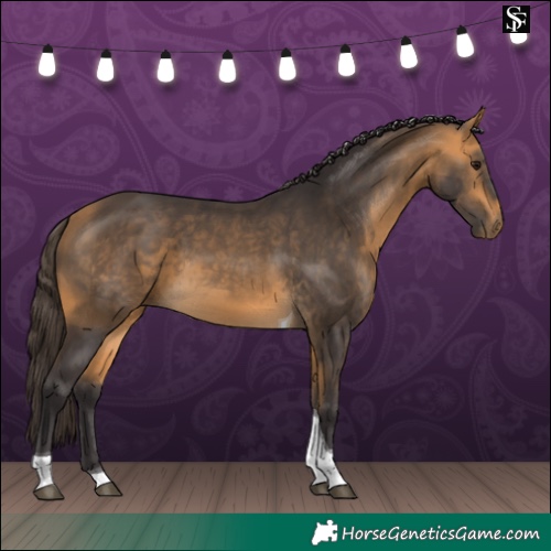 Horse Color:Buckskin Tobiano 
