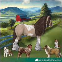 Horse Color:Liver Red Dun Tobiano Frame 