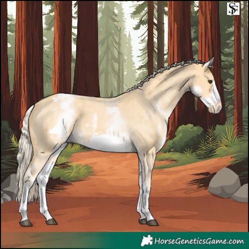 Horse Color:White Spotted Palomino Sabino Frame Appaloosa 