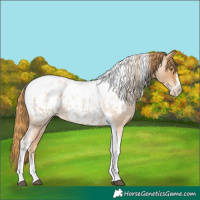 Horse Color:Red Roan Pearl Tobiano Frame Blanket