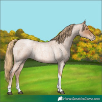 Horse Color:Red Roan Pearl Tobiano Frame