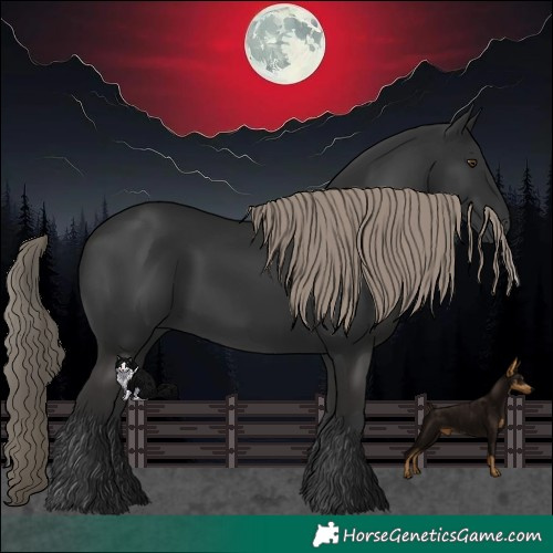 Horse Color:Liver Chestnut Rabicano 