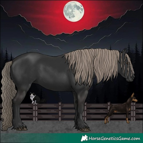 Horse Color:Liver Chestnut Rabicano 