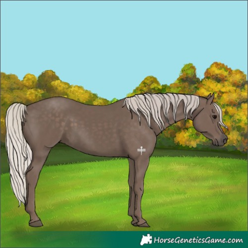 Horse Color:Silver Black 