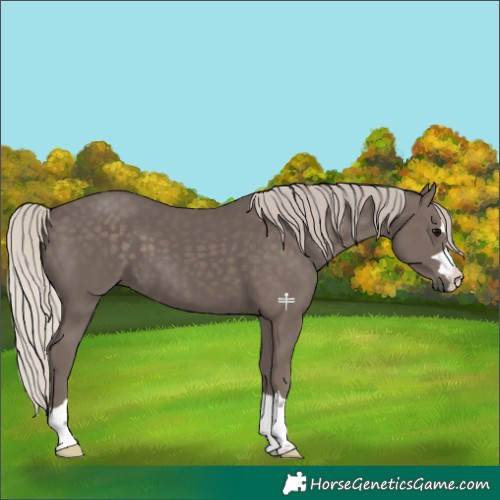 Horse Color:Silver Black 