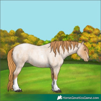 Horse Color:Red Roan Pearl Tobiano Frame 