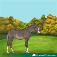 Horse Color:Silver Black 