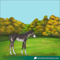 Horse Color:Platinum Liver Chestnut Mushroom 