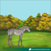 Horse Color:Platinum Liver Red Dun Mushroom 