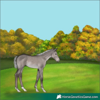 Horse Color:Platinum Liver Red Dun Mushroom