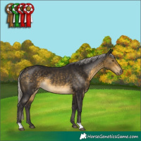 Horse Color:Silver Buckskin 