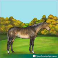 Horse Color:Silver Buckskin 