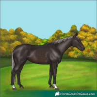 Horse Color:Silver Brown
