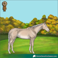 Horse Color:Silver Perlino