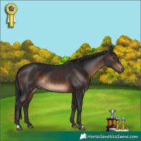 Horse Color:Brown 
