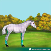 Horse Color:Watercolor Plaid Silver Blue Onyx Chinchilla Pearl