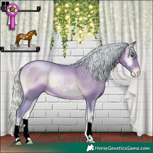 Horse Color:Watercolor Silver Brown Pearl Onyx 