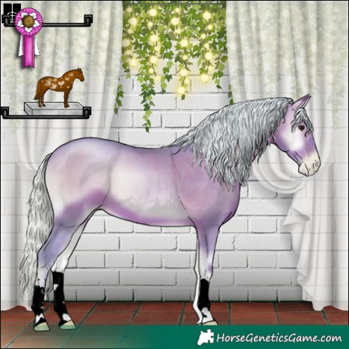Horse Color:Watercolor Silver Brown Pearl Onyx 