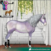 Horse Color:Watercolor Silver Brown Pearl Onyx
