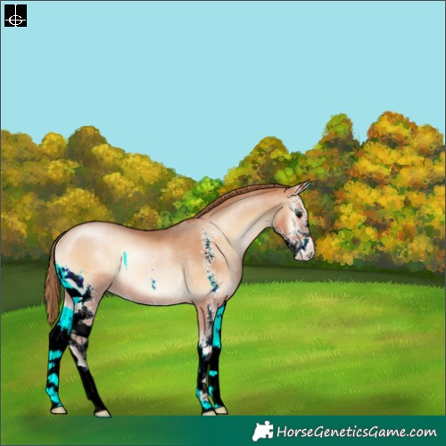 Horse Color:Brown Pearl Onyx Sabino Rabicano 