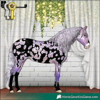 Horse Color:Watercolor Silver Bay Dun Sabino Appaloosa 