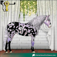 Horse Color:Watercolor Silver Bay Dun Sabino Appaloosa