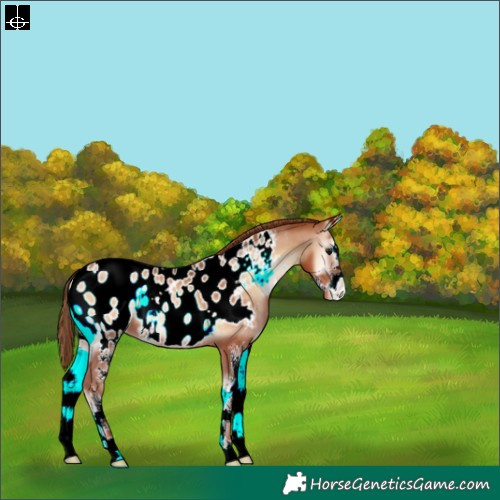 Horse Color:Brown Pearl Onyx Sabino Near Leopard 