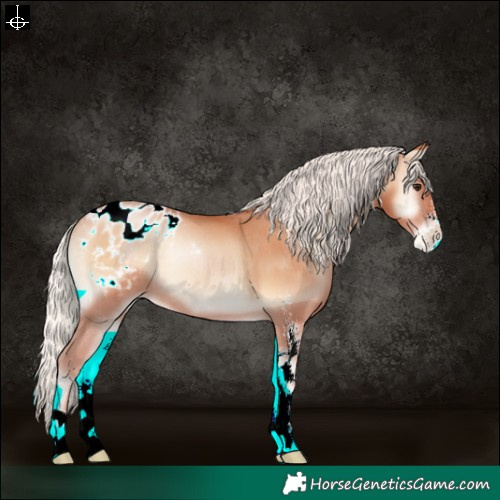 Horse Color:Silver Bay Pearl Onyx Sabino Appaloosa Rabicano
