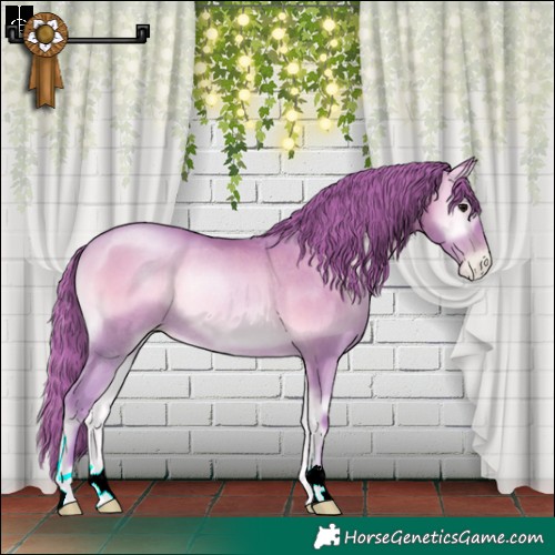 Horse Color:Watercolor Bay Pearl Onyx Rabicano 