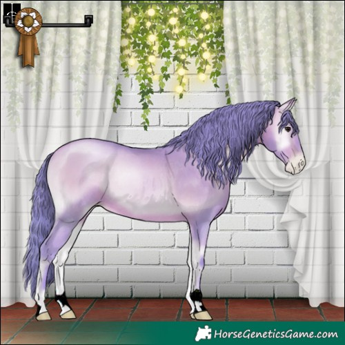 Horse Color:Watercolor Bay Pearl Onyx Rabicano 