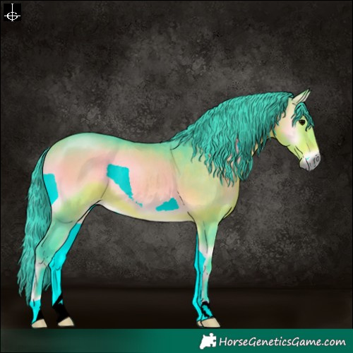 Horse Color:Watercolor Bay Onyx Rabicano 