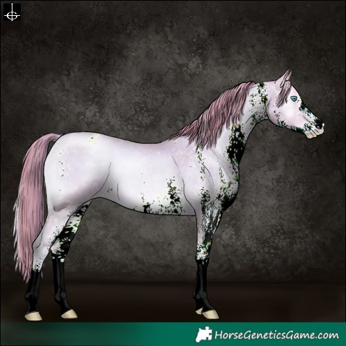 Horse Color:Watercolor White Spotted Buckskin Pearl Onyx Snowflake Varnish 
