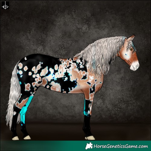 Horse Color:White Spotted Silver Brown Pearl Onyx Appaloosa 