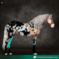 Horse Color:White Spotted Silver Brown Pearl Onyx Blanket 