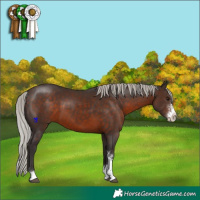 Horse Color:Silver Brown Sabino