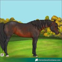 Horse Color:Brown 