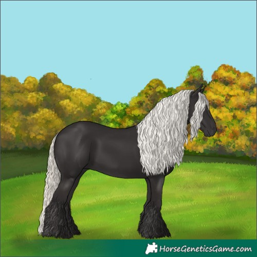 Horse Color:Liver Chestnut Mushroom 