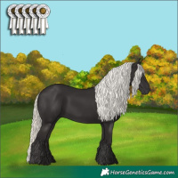 Horse Color:Liver Chestnut Mushroom 