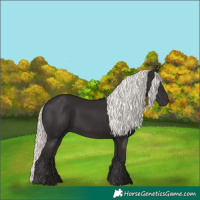Horse Color:Liver Chestnut Mushroom 
