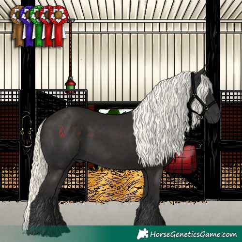 Horse Color:Liver Chestnut Mushroom 