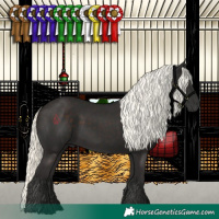 Horse Color:Liver Chestnut Mushroom
